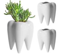 BAIFULAI Vaso per fiori a forma di dente in ceramica, con denti e denti, per giardino, ufficio, scrivania, regalo creativo