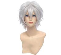 Baisheng Gintama Sakata Ginsuke 30 centimetri argento dritto unisex sintetico corto completo costume cosplay parrucca vestito (30cm-bianco argento)