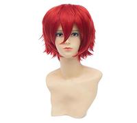 Baisheng rovesciato universale tipo Layered breve rettilineo rosso brillante unisex anime cosplay capelli sintetici fibra resistente al calore parrucche piene per le donne e gli uomini (30cm-rosso marrone)