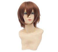 Baisheng Universale tipo breve rettilineo marrone unisex parrucche Cosplay Anime carattere costume parrucche sintetiche fibra piena di capelli resistenti al calore parrucche per le donne (30cm-deep brown)