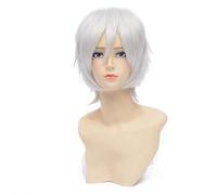 Baisheng Universale Tipo Layered Breve Straight Argento Unisex Parrucche Cosplay Anime Character Costume Parrucche Sintetiche Fibra Capelli Pieni Resistenti al calore Parrucche per le donne (30cm-argento bianco)