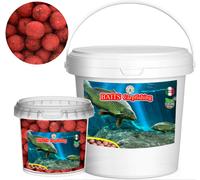 Baits Boilies da Carpa Pastura CIPRINIDI Mangime da Pesca in Barattolo ermetico