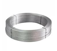 BAIWANLIN Filo di Titanio TA2/GR2 Bacchetta per Saldatura in Titanio per Industria Scienza dia0.1mm-1mm lunghezza3m,0.6mm*3m