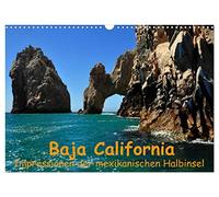 Baja California - Impressionen der mexikanischen Halbinsel (Wandkalender 2026 DIN A3 quer), CALVENDO Monatskalender: Wale und Kakteen bestimmen die ... Pazifik und dem Golf von Kalifornien.
