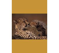 B'ajlom ii Nkotz'i'j Publications' A Concise Hausa Grammar