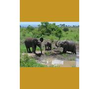 B'ajlom ii Nkotz'i'j Publications' Susu Phrasebook: Ideal for Traveling to Guinea and Sierra Leone