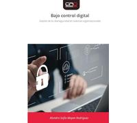 Bajo control digital: Gestión de la ciberseguridad en sistemas organizacionales