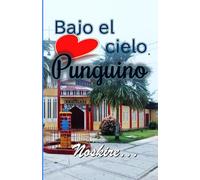 BAJO EL CIELO PUNGUINO