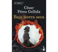 Bajo tierra seca: Premio Nadal de Novela 2024
