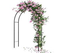 BAKAJI Arco da Giardino Supporto per Piante Rampicanti, Sostegno Pergolato in Metallo per Rose, Fiori, Orto, Colore Verde Scuro, Decorazione da Esterno Resistente Raggi UV Dimensioni 240 x 140 x 35 cm