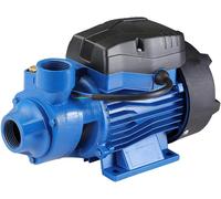 Bakaji Elettropompa Autodescante per Autoclave Periferica Potenza 0,5 HP (370W)