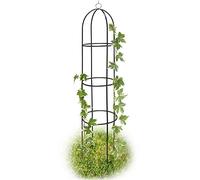 BAKAJI Supporto per Piante Rampicanti Obelisco Arco da Giardino Altezza 185 cm Colore Verde Scuro
