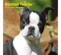 Baker and Bray Calendario 2026 dei Boston Terrier, grande calendario da parete quadrato, 16 mesi, calendario con cani Boston Terrier.