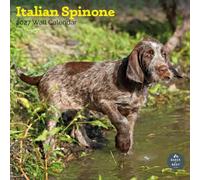 Baker And Bray Calendario Spinone Italiano 2027, Grande