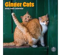 Baker and Bray Ginger Cats Calendario 2025, grande calendario da parete quadrato, 16 mesi, Ginger Cats Gift Dog Calendar.
