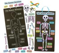 Baker Ross FN434 Kit scheletro umano - Confezione da 4, STEM, scienze, salute e ausili didattici per bambini e scuole