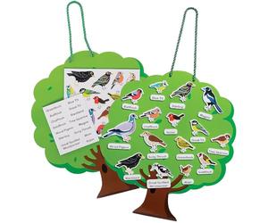 Baker Ross VC111 Kit albero magnetico per l'identificazione degli uccelli - ciascuno, lavagna magnetica educativa per uccelli