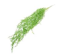 balacoo 6 Pezzi Pianta Artificiale Sospesa Verde, Decorazione da Parete | Plastica e Ferro, senza Annaffiatura Né Potatura, Mantiene L’aspetto, per Fioriere e Terrari