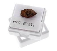 balacoo Campione per Insegnamento in Pietra di Meteorite Olivastro Irregolare Unico Colore da 1,5g e Decorazione in Casa per Appassionati di Scienza