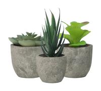 balacoo Set 3 Pezzi Piante Grasse Artificiali Realistiche in Vaso Decorativo per Ufficio e Casa, senza Annaffiatura, Materiale Pe e Legno, Design Elegante e Rilassante