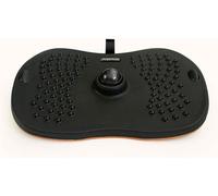 Balance Board POSTURA SVEDESE Standy