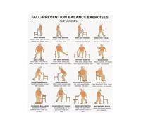 Balance Exercises for Elderly Fall Prevention Home Workout Standing and Seated Training Guide(Framed,16X24inch(40X60cm))