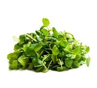 Balcone berry robustas Cappuccina officinale di balcone semi interni cucina interni esotici decorazione 200pcs