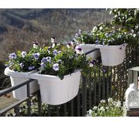 Balconetta Doppia Bama Klunia 7 lt Panna 40 x 19,8 x 18,5 cm