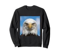 Bald Eagle Close Up Ritratto Sharp Wildlife Face Felpa