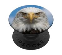Bald Eagle Close Up Ritratto Sharp Wildlife Face PopSockets PopGrip Adesivo