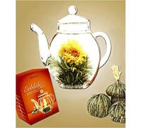 BALDUR-Garten GmbH - Tè in fiore, set con 6 fiori e 1 teiera