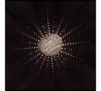 Baldwin Nat - In The Hollows