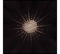 Baldwin Nat - In The Hollows