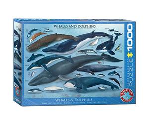 Balene & Delfini
