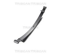 Balestra Assale posteriore Molla a balestra 8765 14011 TRISCAN per NISSAN NAVARA