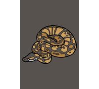 Ball Python Journal - Illustration Cover: Part of the Lizard Collection - Themed for Kids, Teens & Adults - with Lined Pages