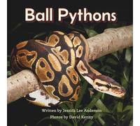 Ball Pythons