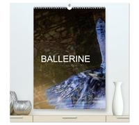BALLERINE (Calendrier mural 2026 DIN A2 horizontal) calendrier de bureau: Photos de cours de ballet et de chaussons de danse.