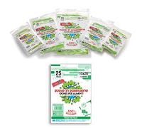 BALMAR 2000 PFSA/ZIP15X20 Confezione Buste Polietilene con Pratica Zip Richiudibile, 15 x 20 cm, Multiuso, 25 pezzi