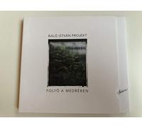 Balo Istvan Projekt: Folyo a medreben - River in Its Basin