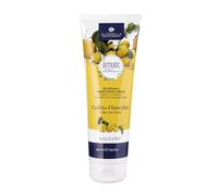 Alkemilla Balsamo Cedro e Finocchio - 250 ml