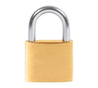 BALTIX Lucchetto mm.25 arco normale