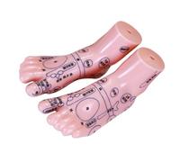 Baluue Anatomia del Piede per Riflessologia e Agopuntura Display Punti di Agopuntura Piede Umano Strumento Didattico Portatile per Scuole Tcm Cliniche e Corsi di Terapia Manuale