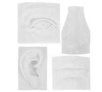 Baluue Modello in Gesso per Schizzi dei Lineamenti, Set di 4 Pezzi | Bianco, Superficie Liscia e Taglio Interno Visibile, per Studenti D'arte e Aule di Disegno