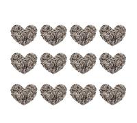 Baluue Toppe Termoadesive Cucibili e Lavabili 12 Pezzi in Resina a Forma di Cuore Patch Brillanti per Giacche e Vestiti, Decorazione per Progetti Artistici