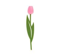 Balvi Segnalibro Tulip Colore Rosa Punto di Lettura per Libri a Forma di Tulipano colorato, Sottile e
