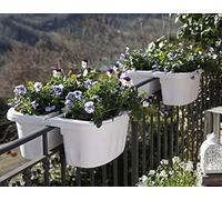 Bama 30232 Klunia doppiamente Regolabile, fioriera da Balcone con Serbatoio d' Acqua, Crema, 40 x 19.8 x 18.5 cm