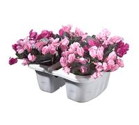 BALCONETTA DOPPIA 'KLUNIA' cm 40 x 19,8 x 18,5 - lt.7 panna BAMA