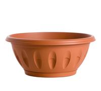 CIOTOLA ALBA DIAMETRO 80 CON SOTTOVASO