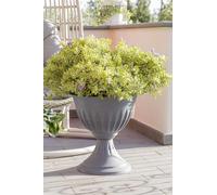 Bama alba Cup, fiore, 30 x 43 x 46 cm, Grey, 33 cm